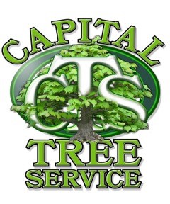 Capital Tree Service