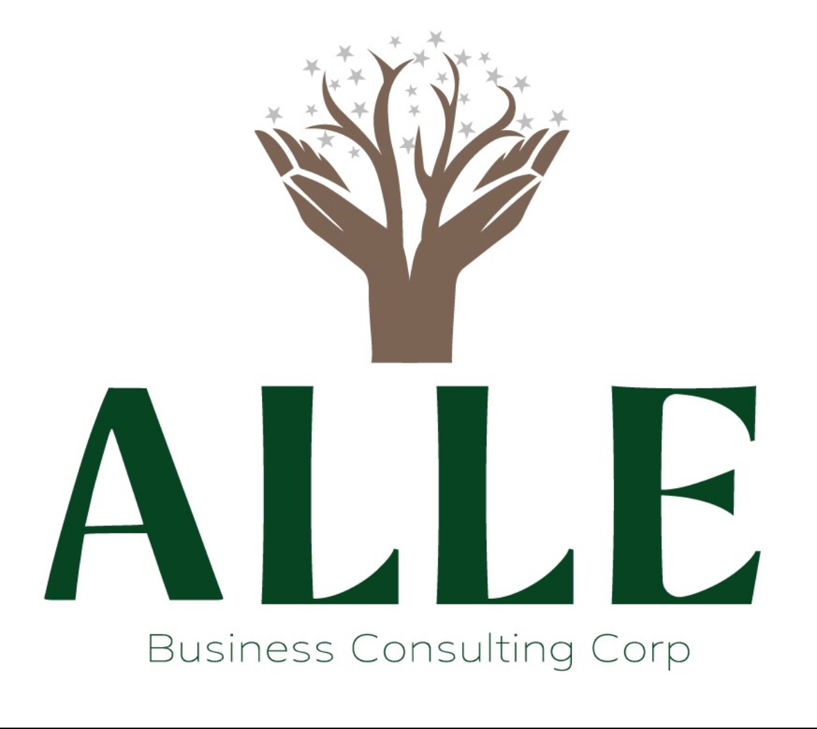 Alle Business Consulting Group